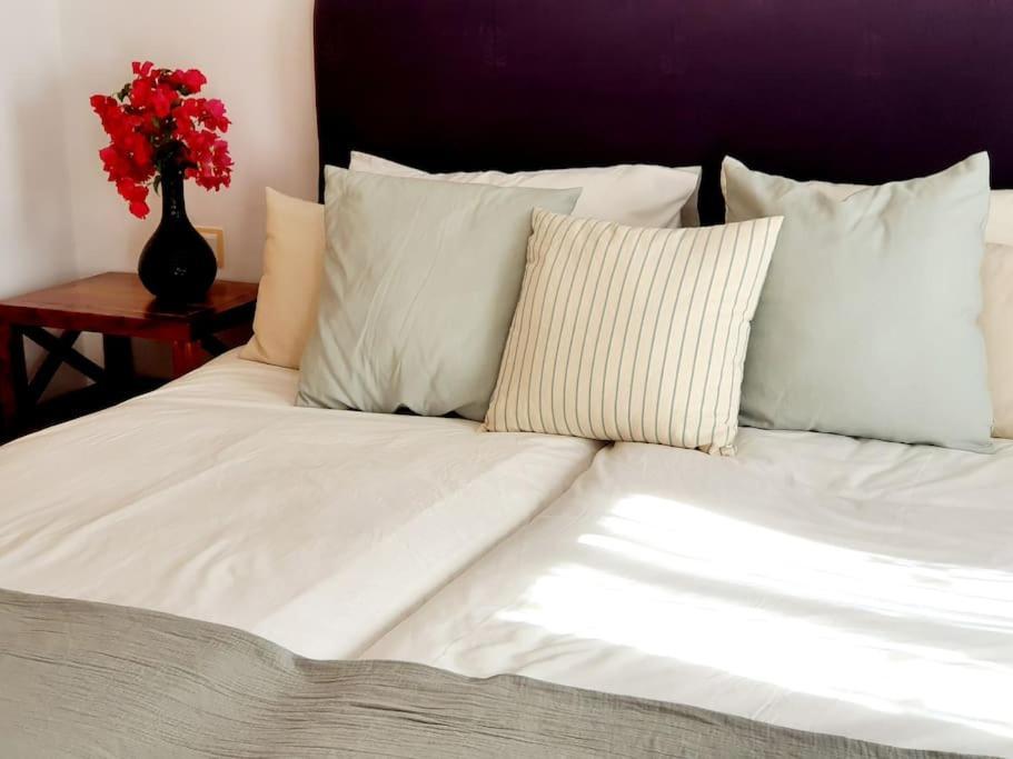 Villa Jacaranda Altaona Golf مرسية المظهر الخارجي الصورة